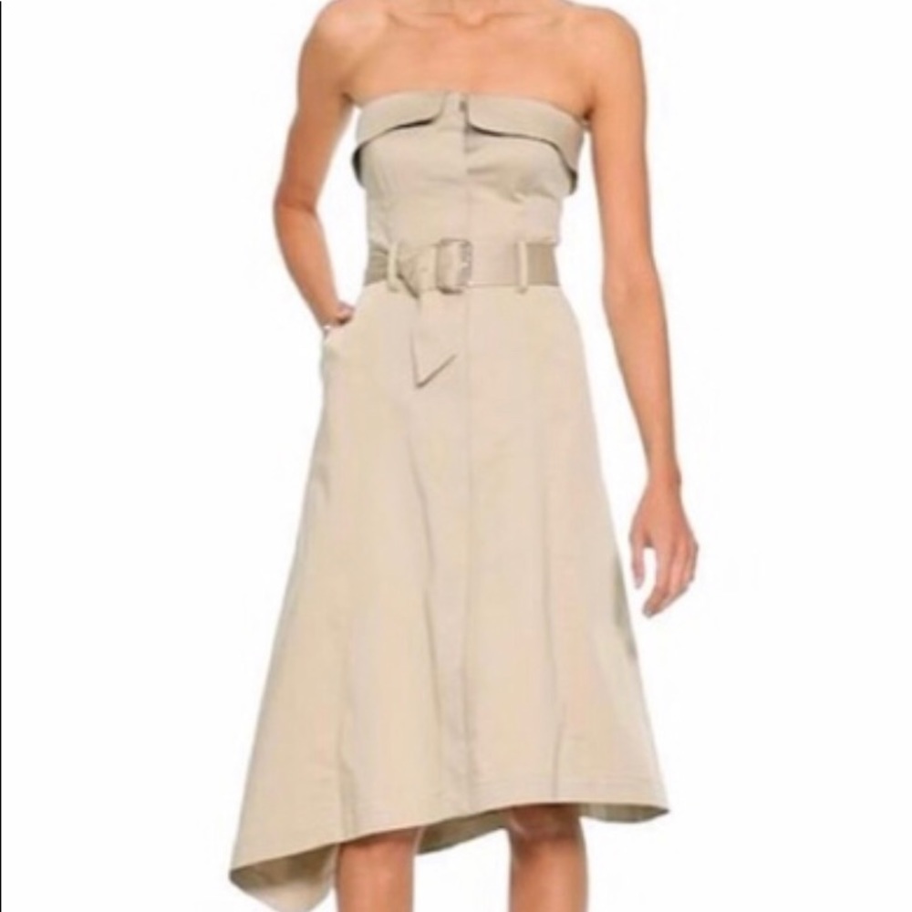 Banana Republic Asymmetrical Strapless Dress